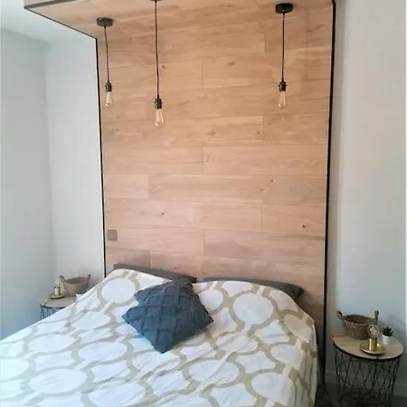 公寓 Cosy St Raph, Piscine Residence, Proche